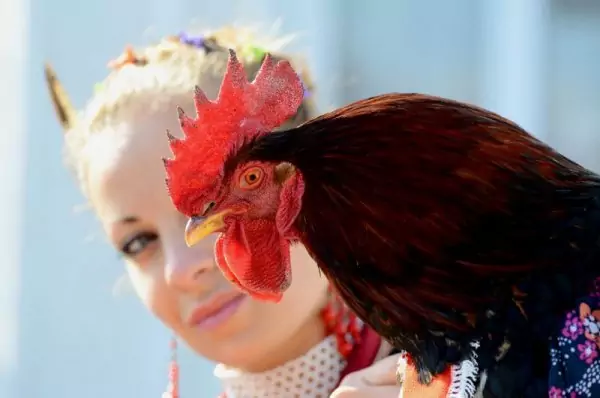 Петларовден Петларовден