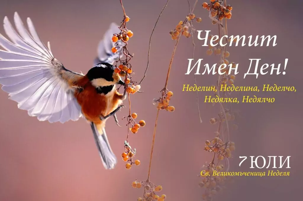 св. великомъченица Кириакия Неделя - имен ден св. великомъченица Кириакия Неделя - имен ден