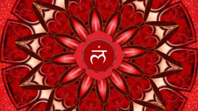 Базова - Основна - Коренна Чакра - Муладхара