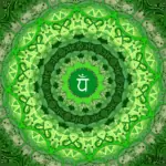 Сърдечната чакра – Анахата