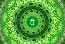 Сърдечната чакра - Анахата