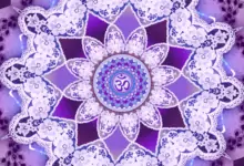 Коронна чакра - Сахасрара