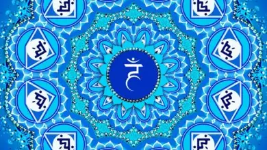 Гърлена Чакра - Вишуддха