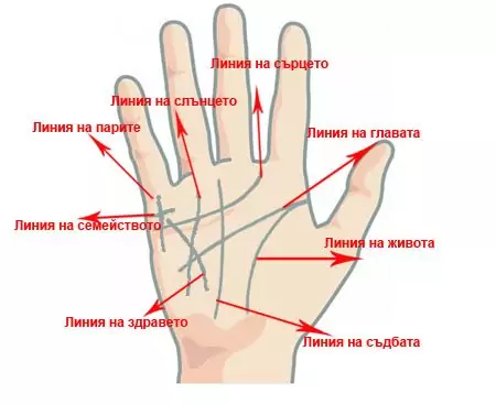 Гледане на ръка -Хиромантия Гледане на ръка -Хиромантия