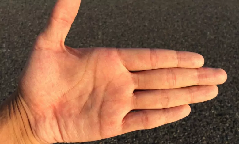 Цвета на дланите