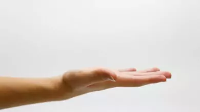 Дължината на пръстите