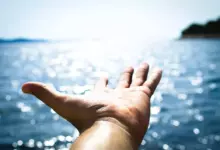 Линия на слънцето (линия на Аполо)
