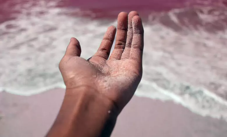 Планините на дланта