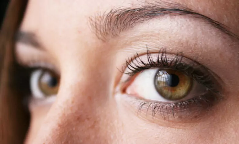 ЦВЕТЪТ НА ОЧИТЕ Е ОПРЕДЕЛЯЩ ЗА ХАРАКТЕРА И СОЦИАЛНОТО НИ ПОВЕДЕНИЕ