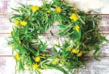 Цветница, Връбница