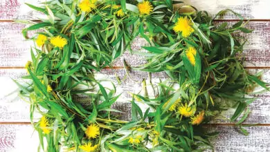 Цветница, Връбница