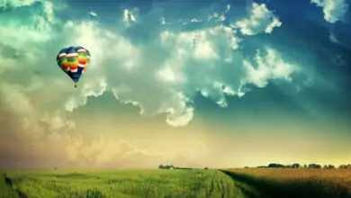 СЪНЯТ И ПОЛЗАТА ОТ НЕГО