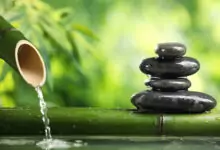 СИМВОЛИКАТА във Фенг Шуй