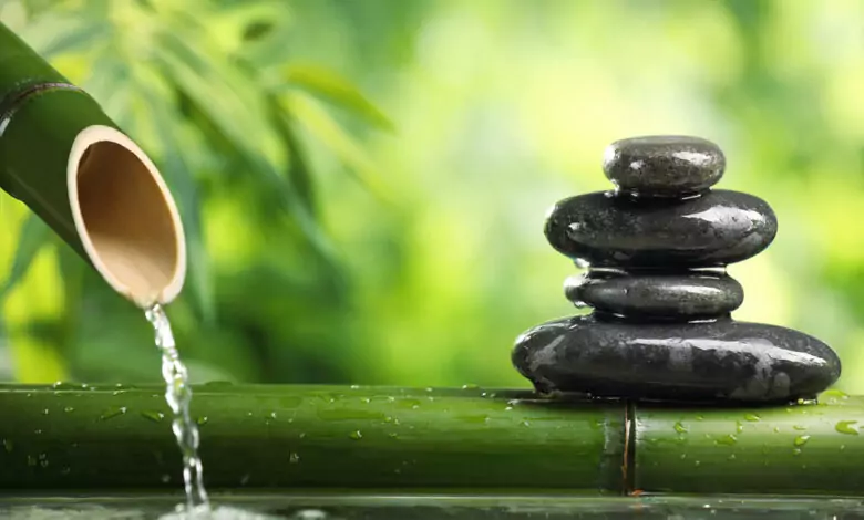 СИМВОЛИКАТА във Фенг Шуй