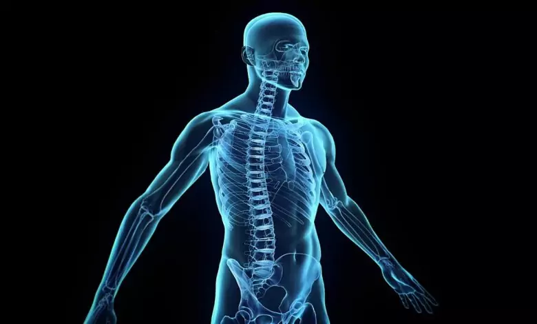 Части на тялото