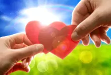 За любовта: 10 интересни научни фактa