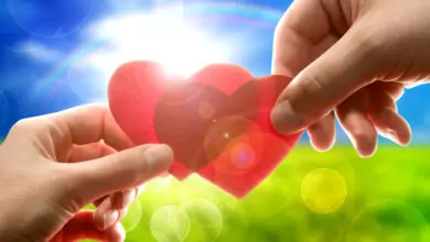 За любовта: 10 интересни научни фактa