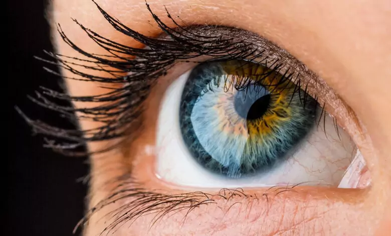 Какво казва цветът на очите ви?