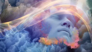 СЦЕНАРИЙ НА ИГРАТА