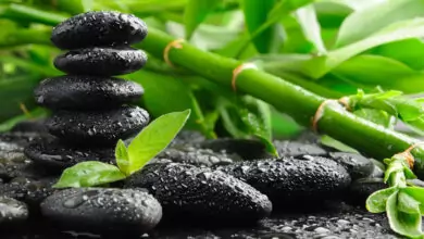 Ба-гуа и славата