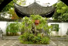 Какво е фенг шуй