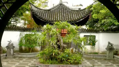 Какво е фенг шуй