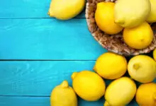 Лимонът - мидийската ябълка