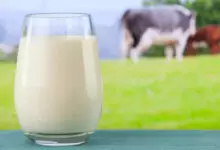 Млякото - елексир на дълголетието