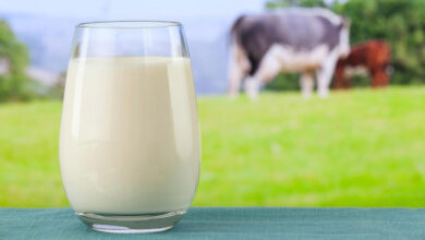 Млякото - елексир на дълголетието