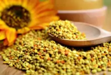 Лечебните свойства на пчелния прашец