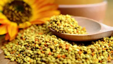 Лечебните свойства на пчелния прашец