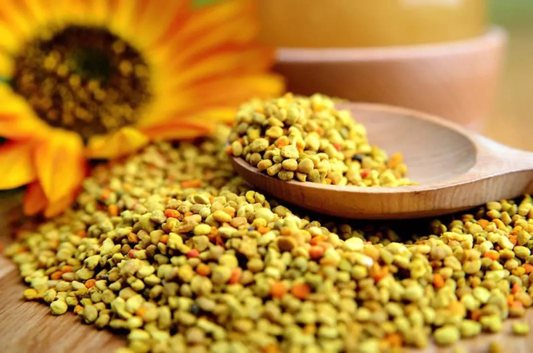 Лечебните свойства на пчелния прашец