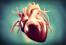 Шумове на сърцето