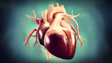 Шумове на сърцето