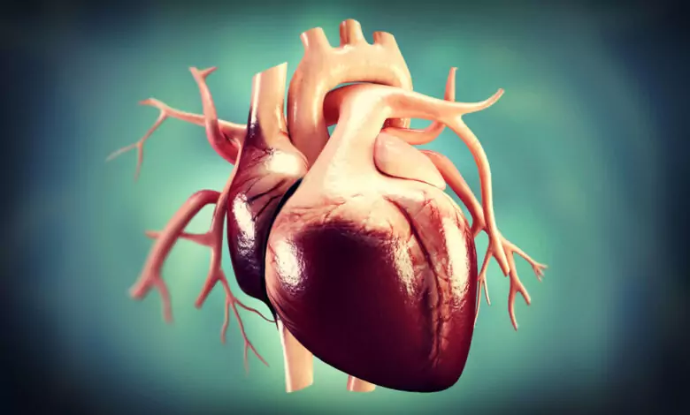 Шумове на сърцето