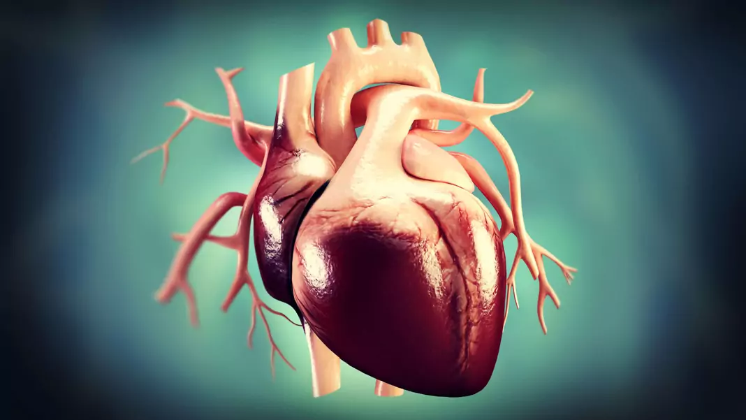 Шумове на сърцето