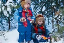 Застрашени ли сте от авитаминоза в студовете