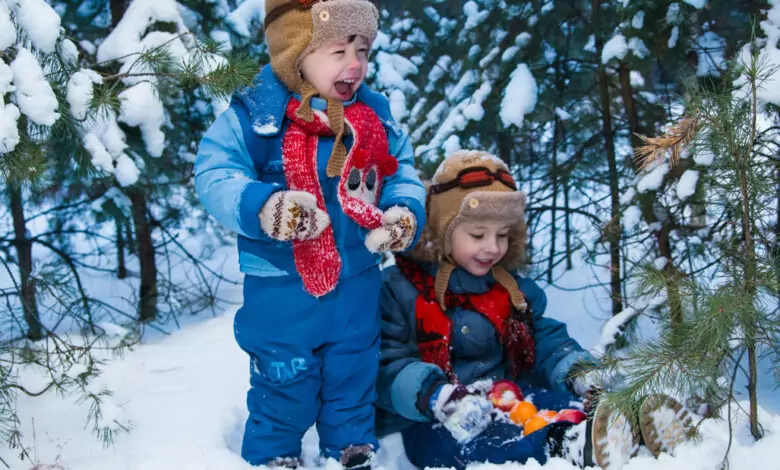 Застрашени ли сте от авитаминоза в студовете