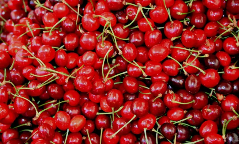 Костилките предсказват бъдещето