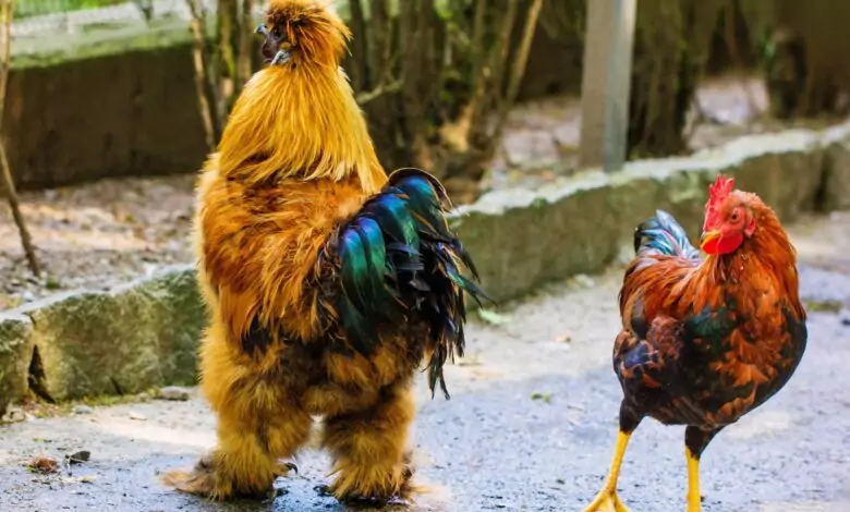 Петльовден