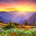 Пожелания за Еньовден