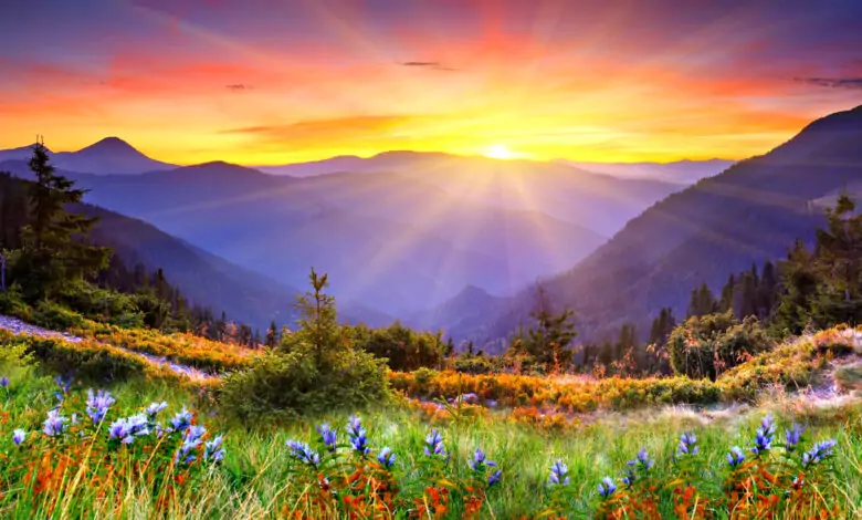 Пожелания за Еньовден