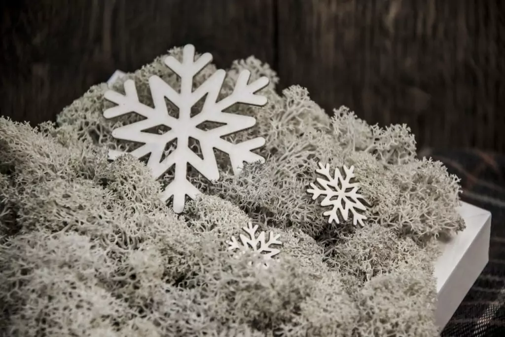 Снежана, Белослава