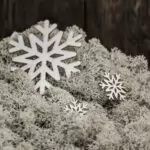 Снежана, Белослава