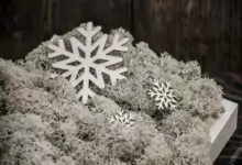 Снежана, Белослава