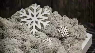 Снежана, Белослава