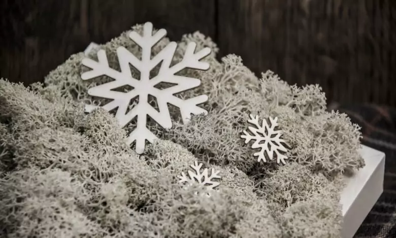 Снежана, Белослава