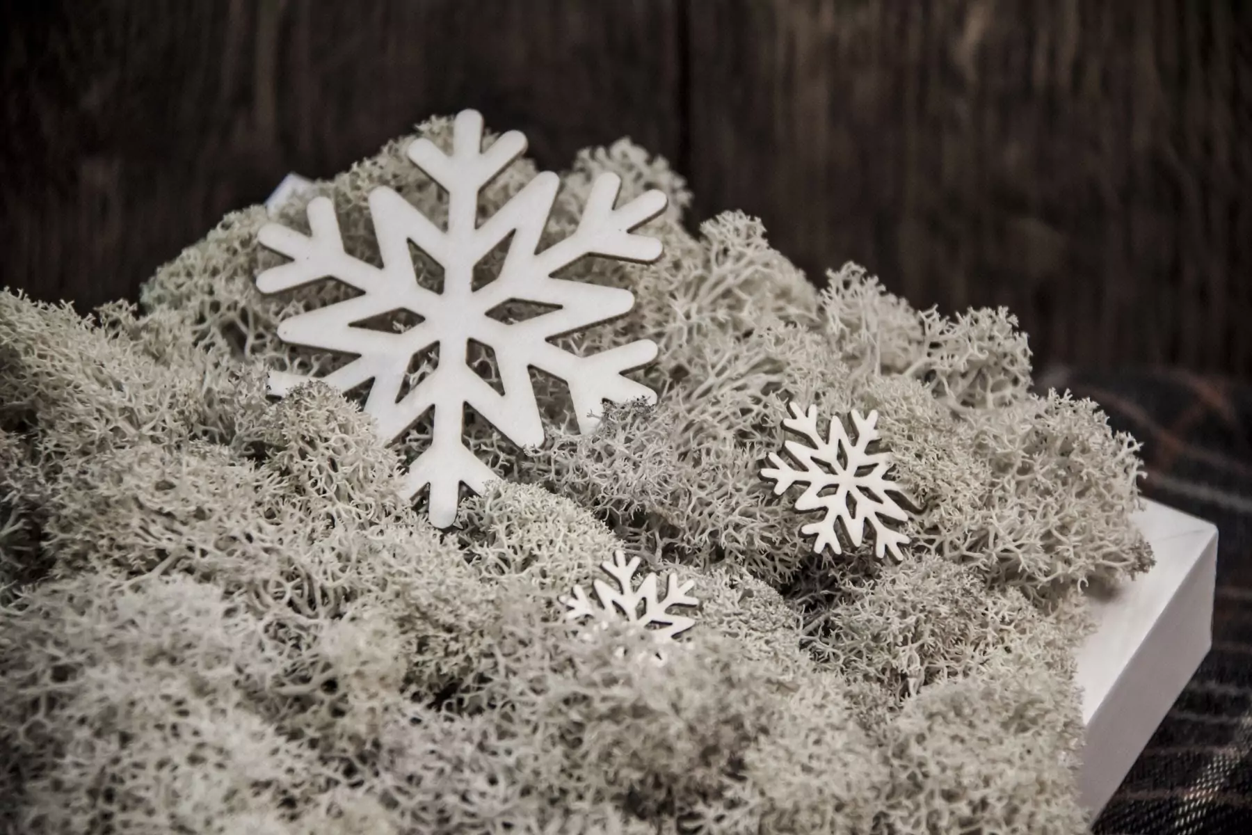 Снежана, Белослава