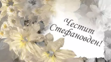 Стефановден