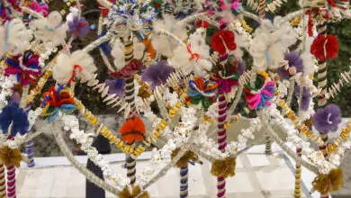 Сурвакане, сурвачки